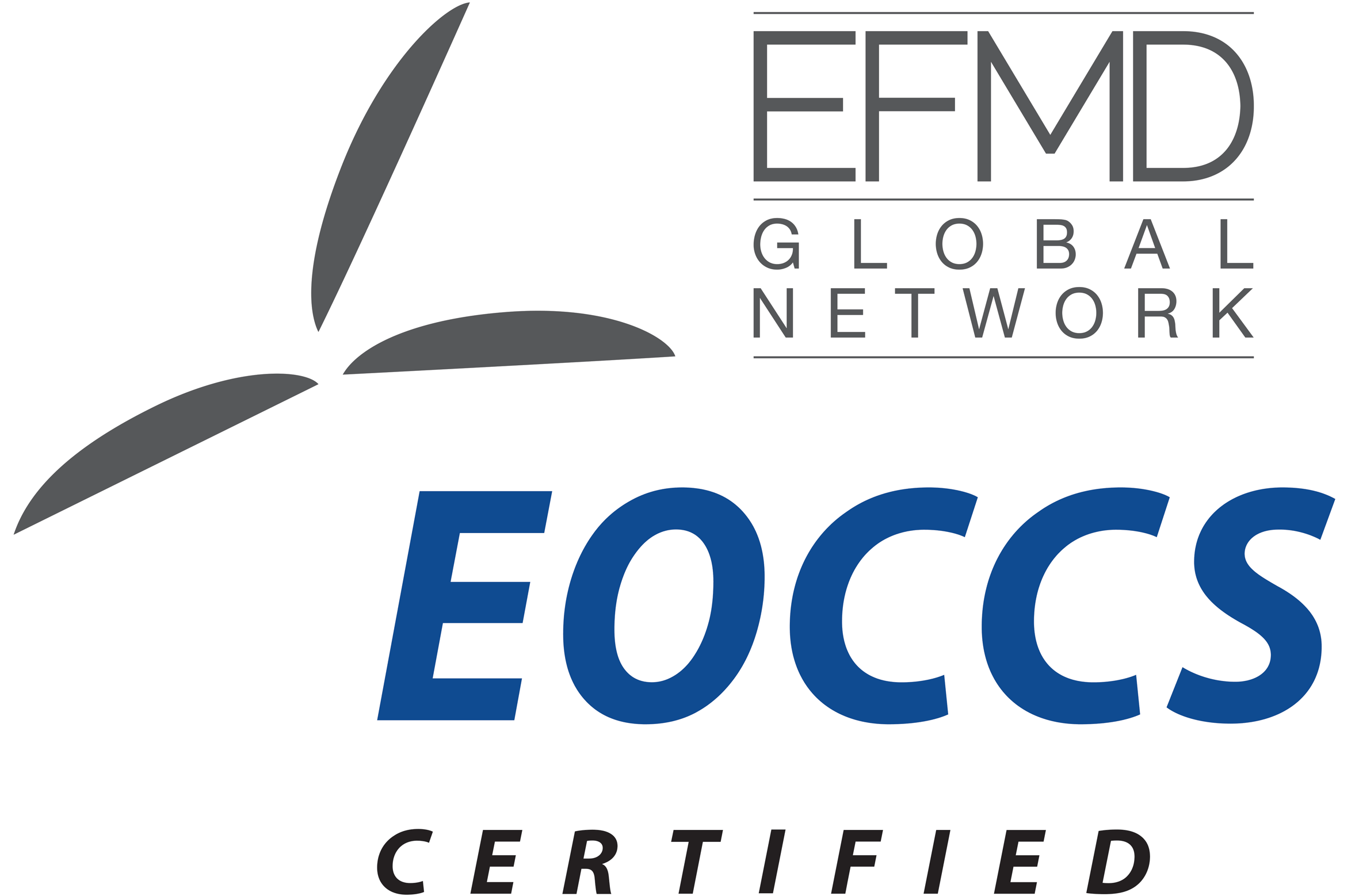 5 дистанционных курсов программы МВА ЭФ МГУ получили международную аккредитацию EFMD  EOCCS