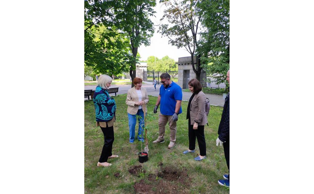 Выпускники программы МВА ЭФ МГУ посадили дерево на аллее выпускников